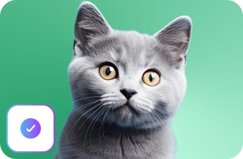 Download Your Image
